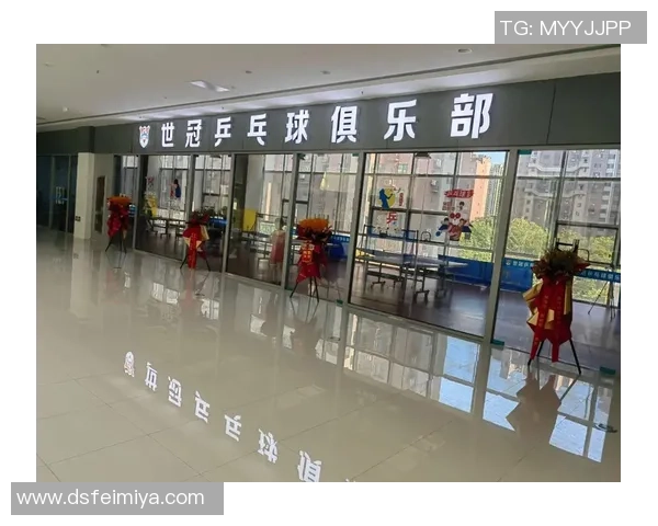 乒乓球装备选购指南及训练器材推荐助你提升球技