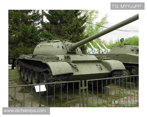 重庆排球队的阵地战解析与战术创新探讨