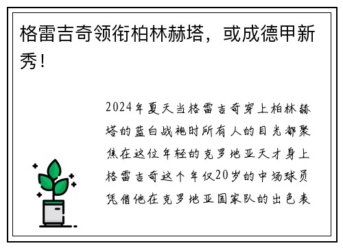 格雷吉奇领衔柏林赫塔，或成德甲新秀！
